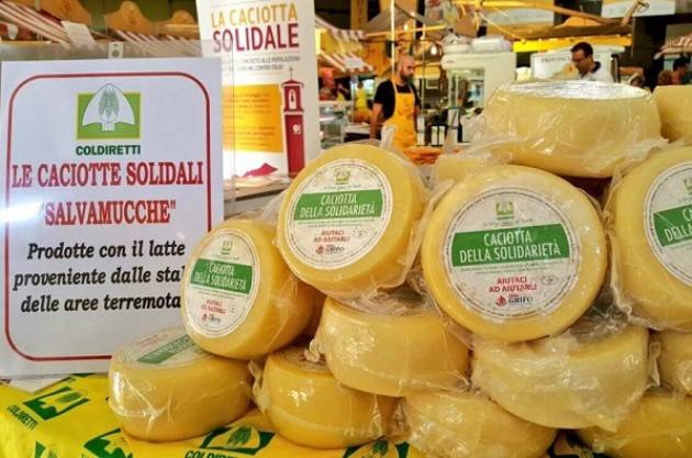 Oggi Domenica 18 dicembre  Campagna Amica a Crema, al mercato i ‘cesti solidali’