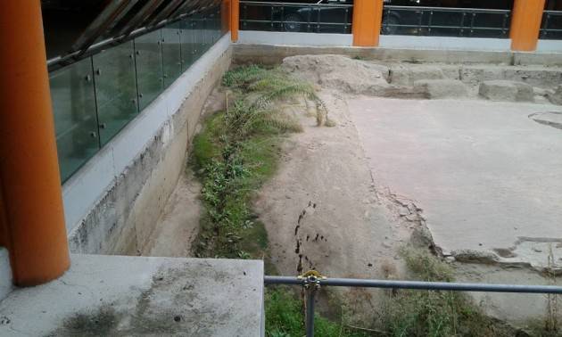 Cremona Chi deve pulire gli scavi archeologici della Domus del parcheggio di p.zza Marconi?