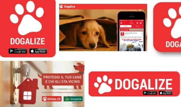 Dogalize è il pet social network numero 1 in Italia.