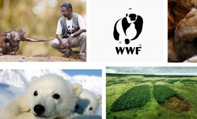 Il WWF Italia traccia il bilancio ambientale 2016