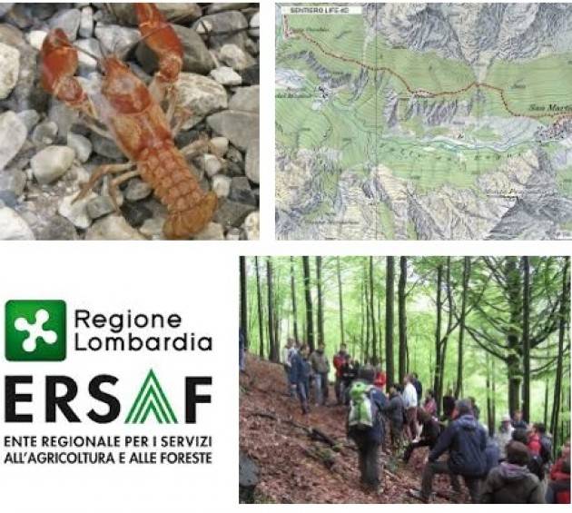 Ersaf Lombardia offre lavoro operai agricoli forestali ERSAF: requisiti e mansioni