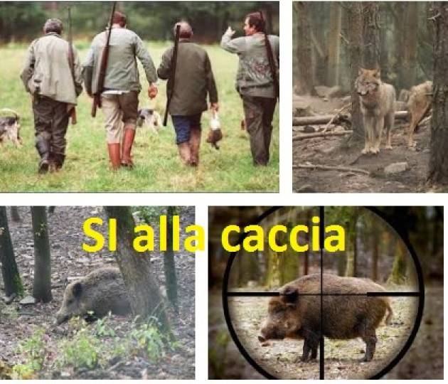 Veneto Il governatore Zaia multa chi turberà la caccia