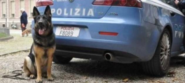 Cani poliziotto: Warren cerca famiglia