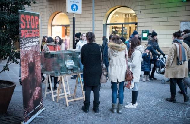 (Video) Brescia Gabbie di visoni in centro, le reazioni dei passanti