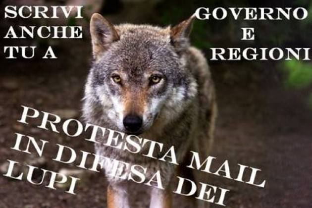 Una Cremona vi invita ad aderire all’iniziativa di protesta mail in difesa dei lupi