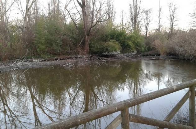 Cremona Il laghetto della Pista Ciclabile al Po sarà ripulito e riempito d’acqua di Alessia Manfredini