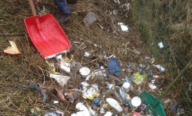 Crema  PULIZIA PAULLESE Piloni: ‘ L'iniziativa sta funzionando e restituendo decoro alla strada’