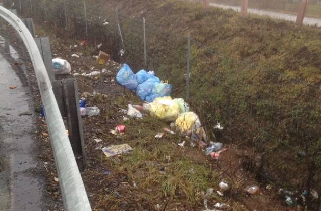 Crema  PULIZIA PAULLESE Piloni: ‘ L'iniziativa sta funzionando e restituendo decoro alla strada’