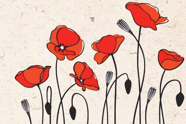 Crema, Festa del Tesseramento ANPI: banchetto informativo, cena e concerti