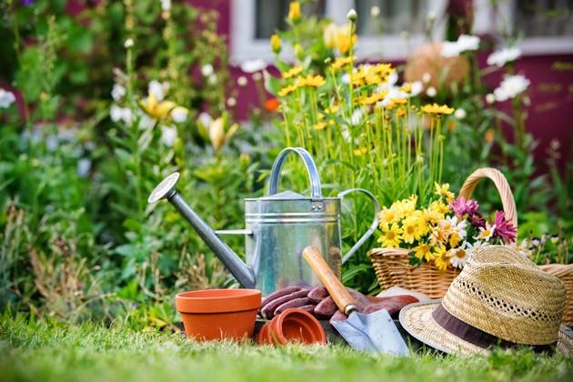 Cremona, Auser Unipop: due nuovi corsi in partenza, giardinaggio e fotografia