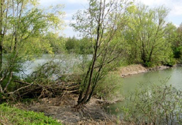 Niente cava nel  Pianalto di Romanengo. Evviva  di Teodoro Scalmani