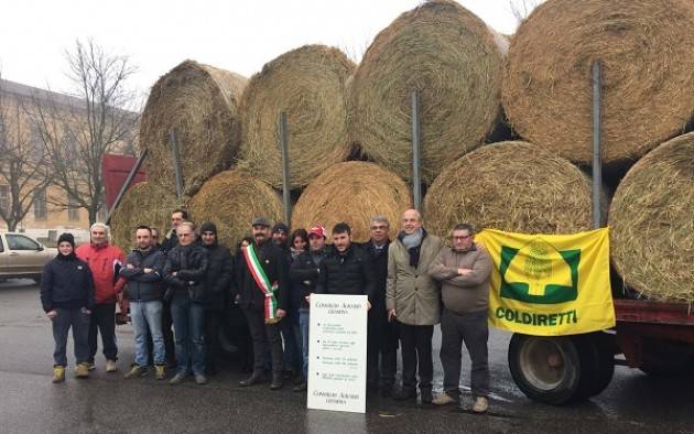 Coldiretti Cremona Gara di solidarietà in aiuto alle stalle colpite dal terremoto