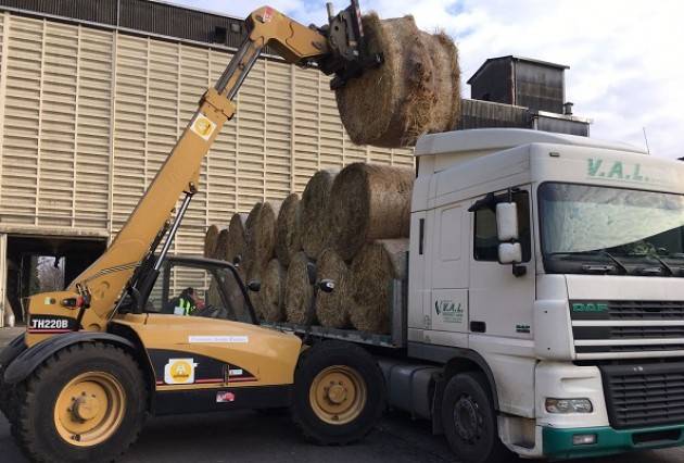 Consorzio Agrario Cremona In partenza il primo carico di donazioni ai terremotati