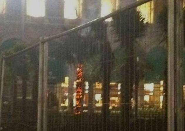 Milano Sicurezza Una testimone ha tentato di fermare il vandalo delle palme