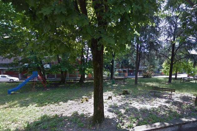 Crema Nuove piante in città, inizia oggi l’operazione decoro urbano