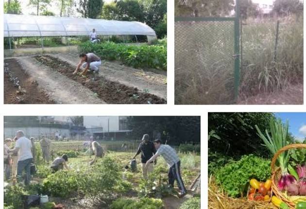 Crema Orti sociali, riconfermato il progetto: partecipazione aperta alle associazioni no profit