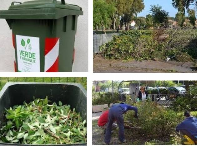 Cremona Dal 16 marzo riprende la raccolta porta a porta del verde