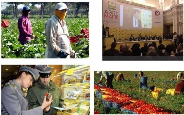 Coldiretti: si podio agromafie Reggio Calabria, Genova e Verona