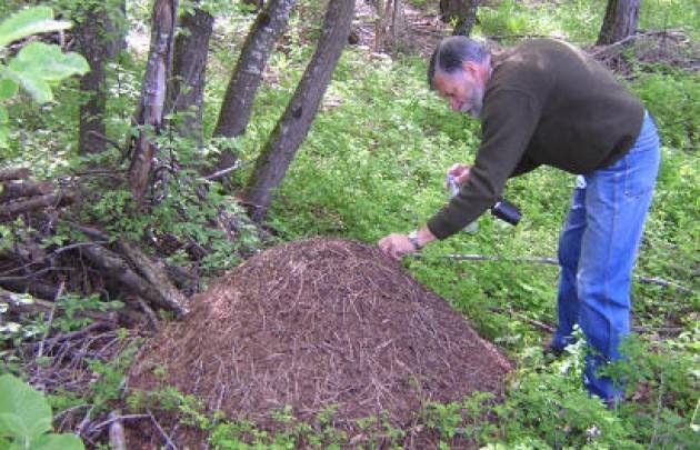 Acli Cremona 5° Incontro su Ecosistema del Po : Il valore della biodiversità con Riccardo Groppali