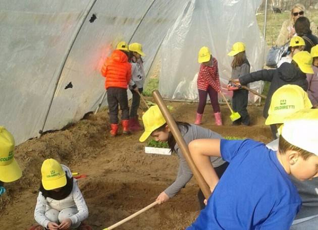 Coldiretti Cremona: piccoli ortolani crescono con gli agricoltori di Campagna Amica