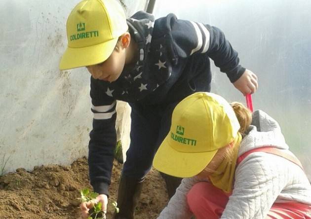 Coldiretti Cremona: piccoli ortolani crescono con gli agricoltori di Campagna Amica