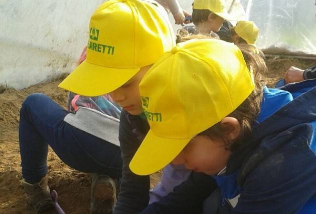 Coldiretti Cremona: piccoli ortolani crescono con gli agricoltori di Campagna Amica