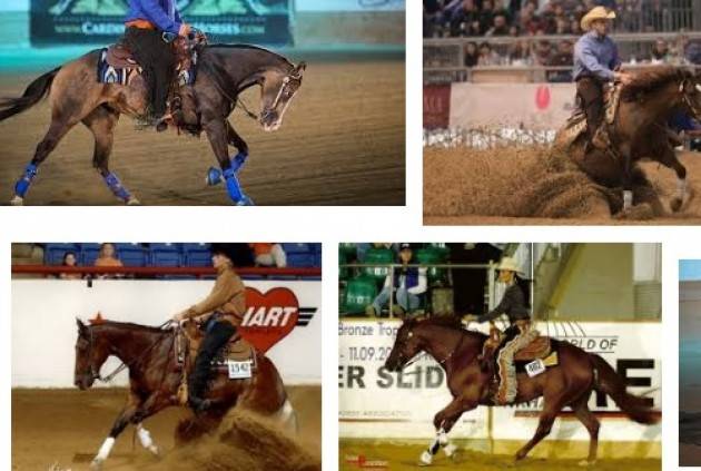 Il gotha dell'equitazione Reining a Cremona Domani al via ‘Euro Futurity’