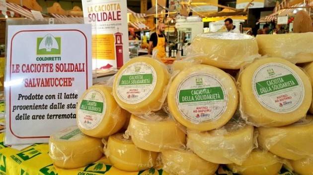 Coldiretti La caciotta della solidarietà a Soresina  lunedì al Mercato di Campagna Amica