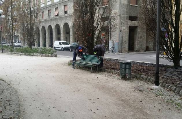 Cremona Manutenzione del verde, degli arredi e piantumati cento nuovi alberi