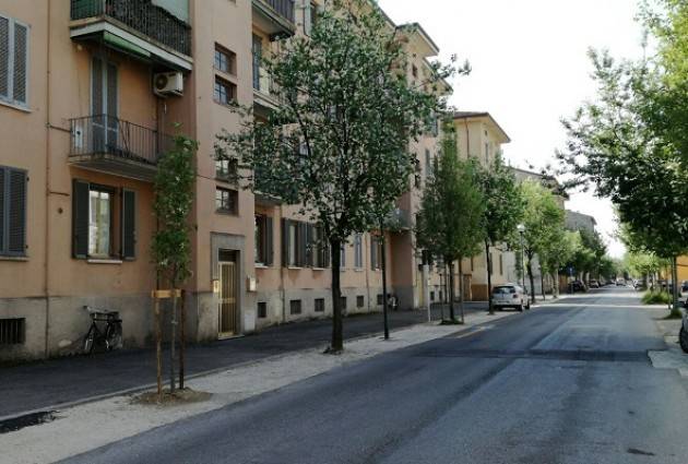 Cremona Manutenzione del verde, degli arredi e piantumati cento nuovi alberi
