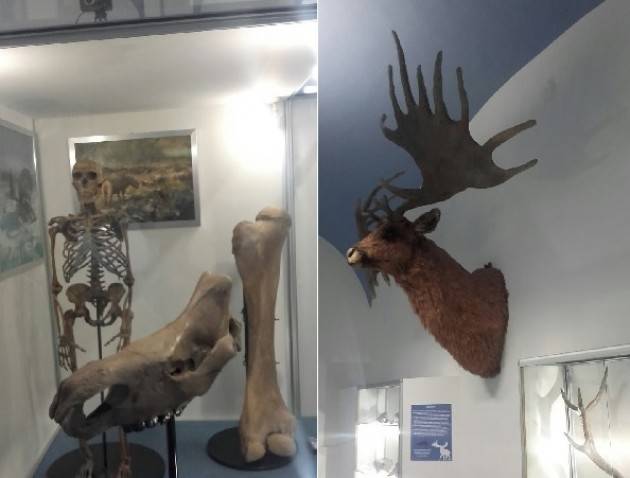 Acli Cremona  Con la visita al museo Paleontropologico di San Daniele Po termina la prima parte del corso tutela dell’ecosistema