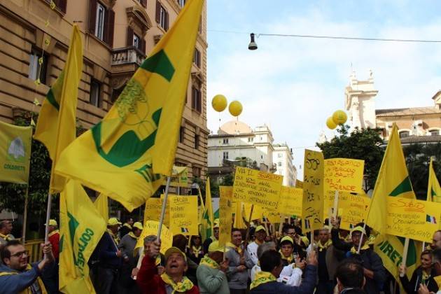 Coldiretti Made in Italy: Mille agricoltori e mondine a Roma per il riso