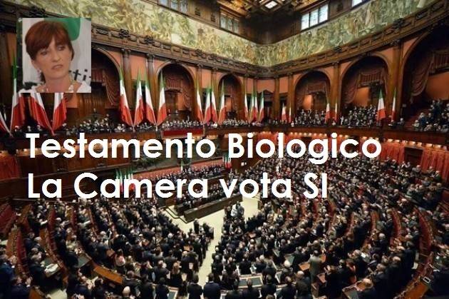 Soddisfazione di Cinzia Fontana (Pd) per l’approvazione alla Camera della Legge sul Testamento Biologico