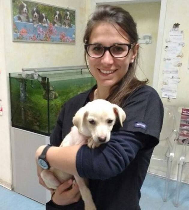 Rivolta D’Adda (Cr) La raccolta fondi per aiutare Jenny, la cagnolina di due mesi