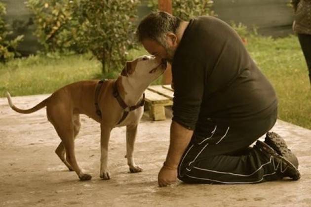 A Rivolta D’Adda incontro ‘Come comunica il tuo cane?’ con Luca Spennacchio