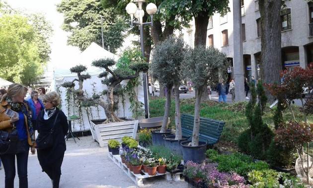 Cremona  Le ‘Invasioni Botaniche’ un grandissimo successo