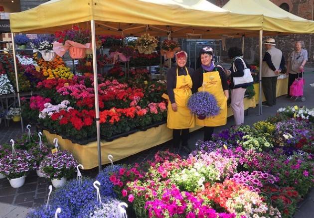 Coldiretti Festa della mamma’ con Campagna Amica Trionfo di fiori oggi in piazza Stradivari a Cremona