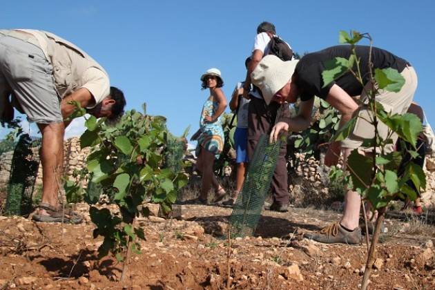 Terra! lancia il nuovo campo di volontariato a Lampedusa