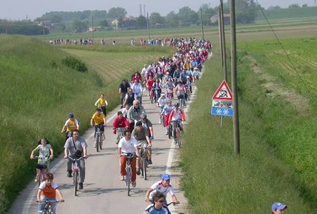 Cremona Tutti alla ‘ Pedalata del Quartiere 1’ con raccolta di more di gelso