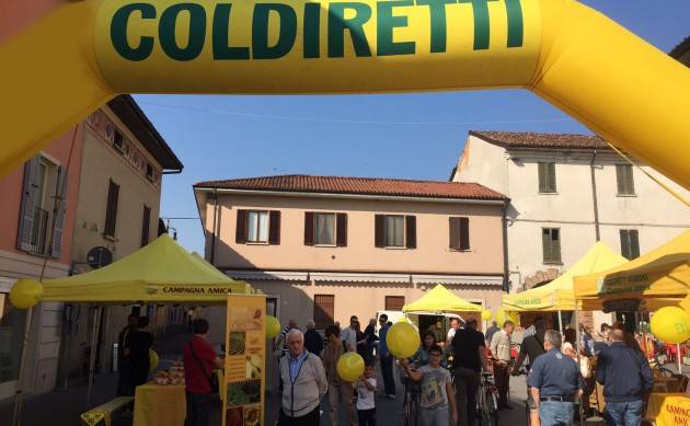 Coldiretti Rivolta D’Adda Dieta mediterranea protagonista delle ‘Feste a tema’ di Campagna Amica