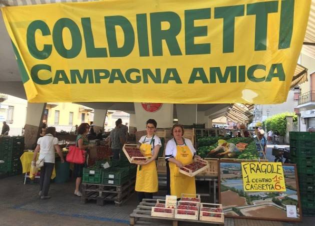 Coldiretti Campagna Amica a Crema grande successo per la domenica dedicata a fragole e ciliegie