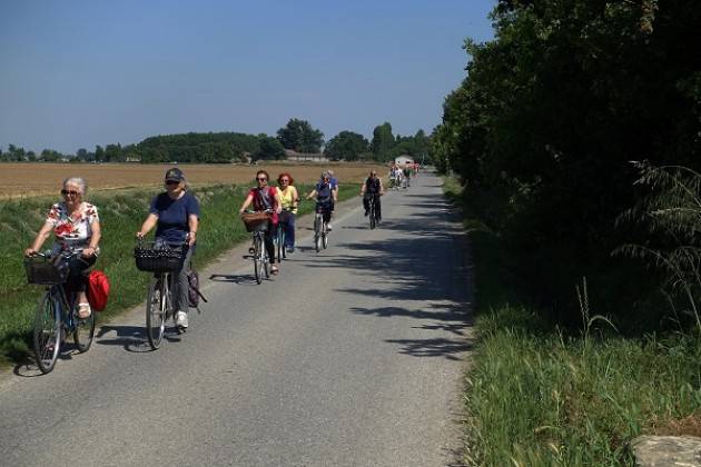 Camminatori del Quartiere 1 di Cremona, fatti  ben 916 km