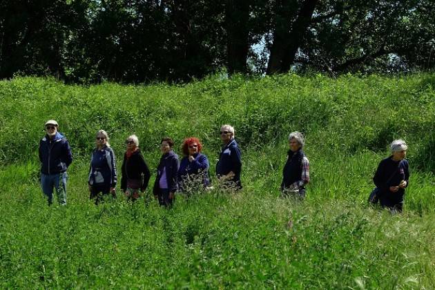 Camminatori del Quartiere 1 di Cremona, fatti  ben 916 km