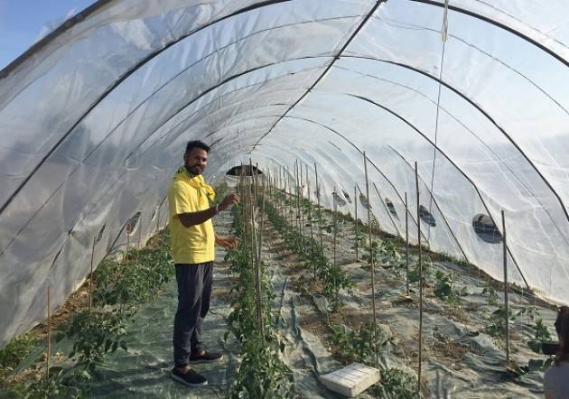 Coldiretti Oscar Green, Cremona con Kulwinder Singh (Casalmaggiore) vince nella categoria Agri You