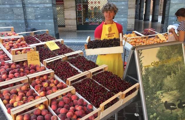 Cremona Coldiretti Un successo Campagna Amica ‘Festa delle ciliegie’