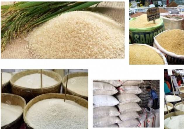Roma CDM, MIPAAF: approvata riforma mercato interno del riso Dichiarazione di Martina