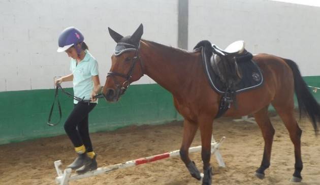 Grest a Cavallo: torna il campo estivo a Sorbara