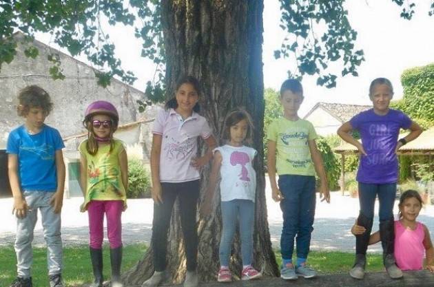 Grest a Cavallo: torna il campo estivo a Sorbara
