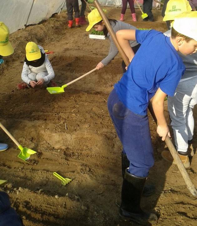 Coldiretti Cremona  Da lunedì 3 luglio Estate, la natura in cattedra