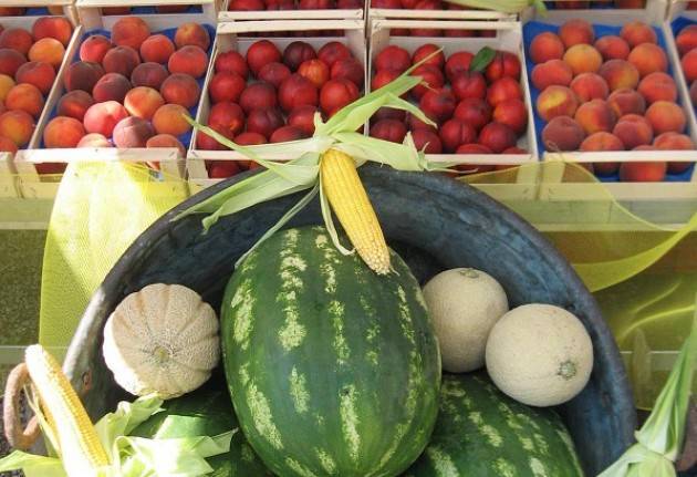 Domenica 23 luglio il Mercato di Campagna Amica  in piazza Stradivari a Cremona e a Rivolta d’Adda (ore 8-13)